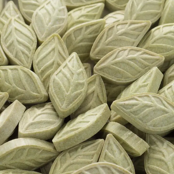 Green Tea Mints - Original
