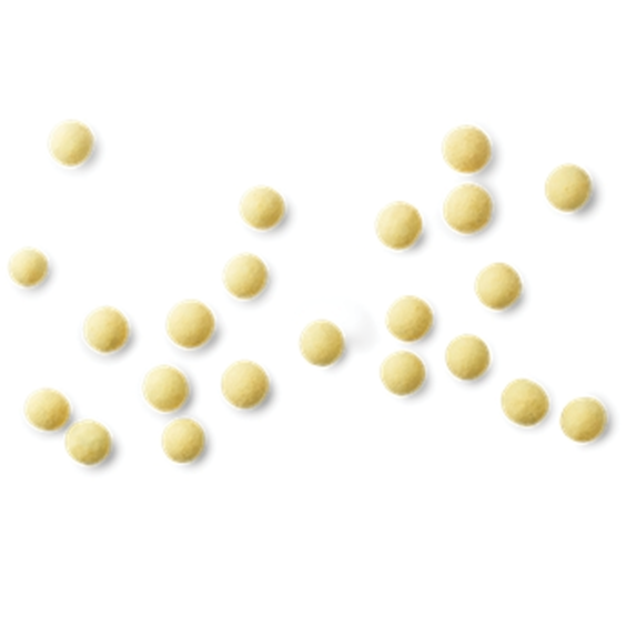 Danish Chocolate Covered Licorice - Passion Fruit