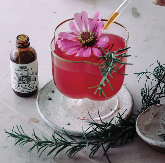 Cerebrum Tonic - Memory + Cognitive Support