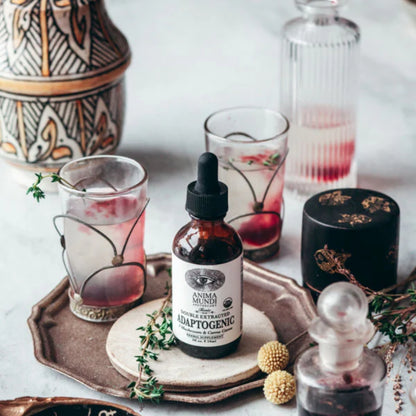 Adaptogenic Tonic - 7 Mushroom, Camu Camu, Mangosteen