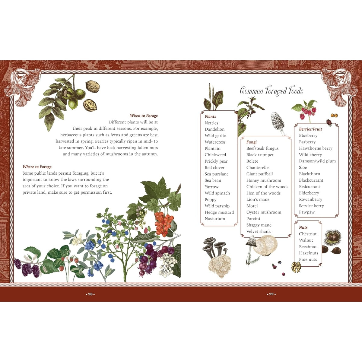 Forest, Fairies, Mushrooms and Goblins Sticker, Color &amp; Activity Book