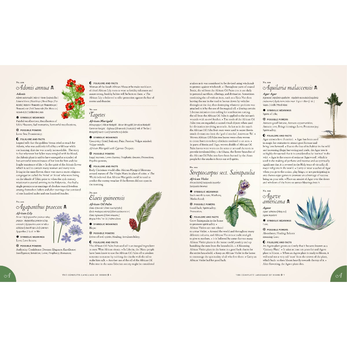The Complete Language of Herbs: A Definitive and Illustrated History