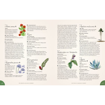 The Complete Language of Herbs: A Definitive and Illustrated History