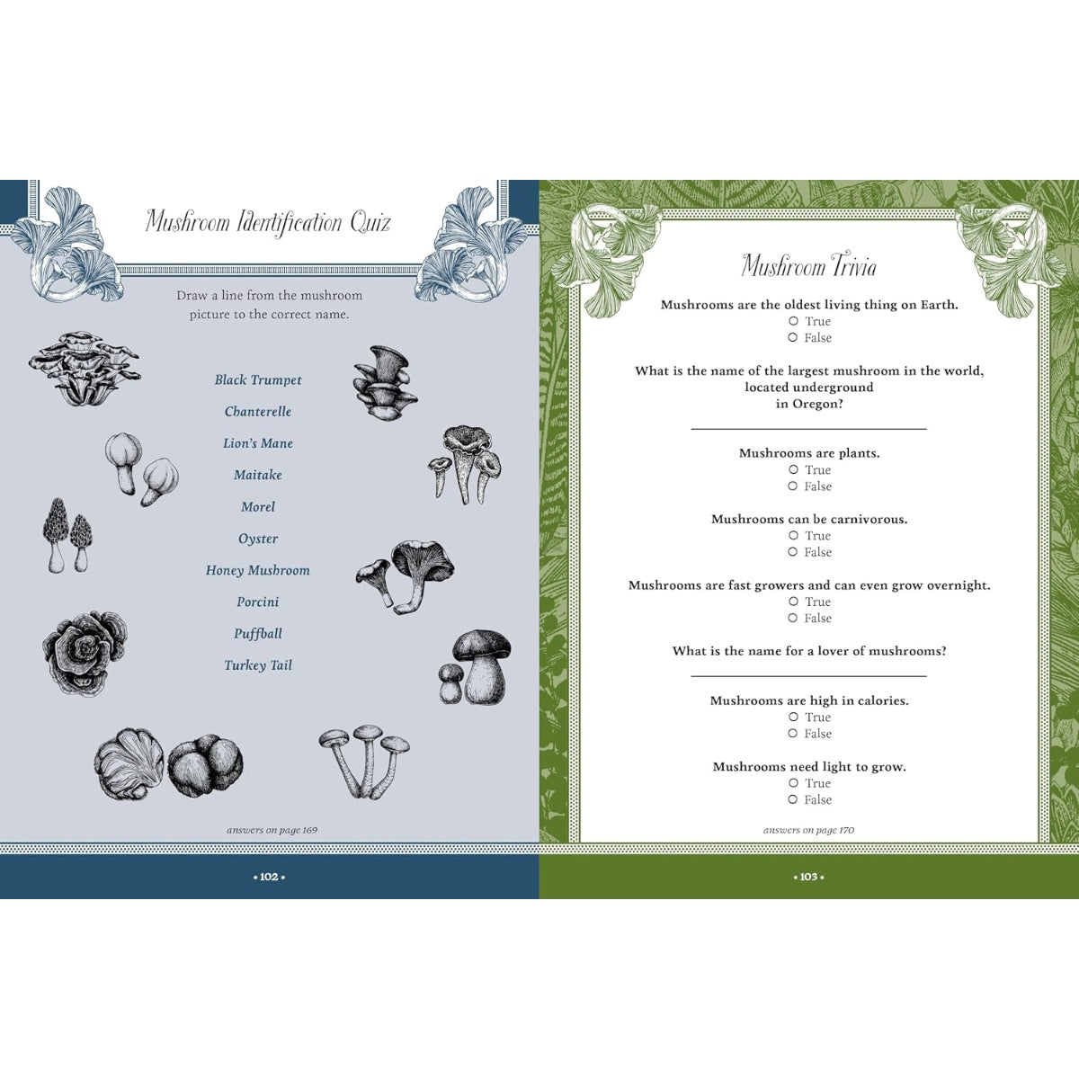 Forest, Fairies, Mushrooms and Goblins Sticker, Color &amp; Activity Book