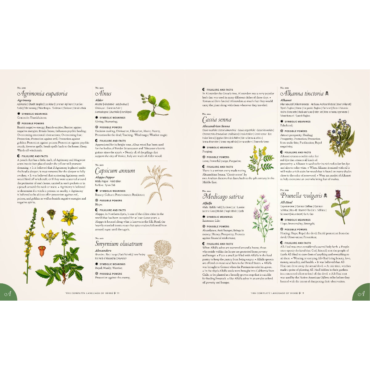 The Complete Language of Herbs: A Definitive and Illustrated History