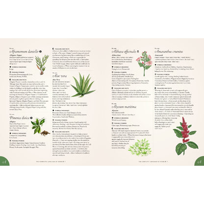The Complete Language of Herbs: A Definitive and Illustrated History