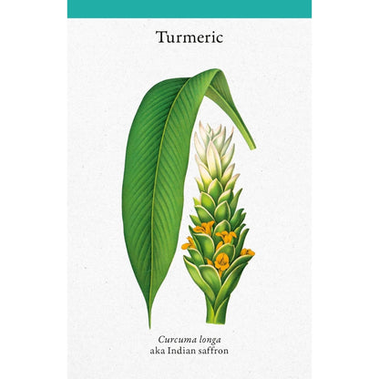 A Cabinet Full of Medicinal Plants: A Practical Card Deck