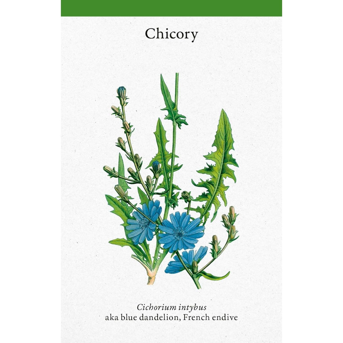 A Cabinet Full of Medicinal Plants: A Practical Card Deck