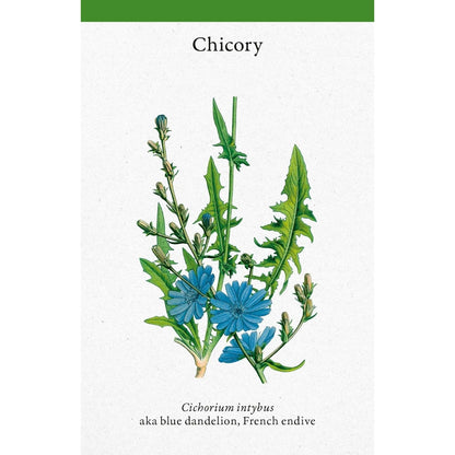 A Cabinet Full of Medicinal Plants: A Practical Card Deck