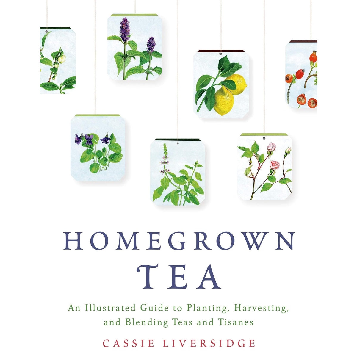 Homegrown Tea Guide To Planting, Harvesting &amp; Blending Teas