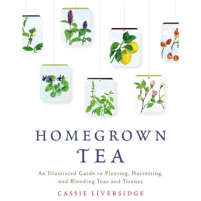 Homegrown Tea Guide To Planting, Harvesting &amp; Blending Teas