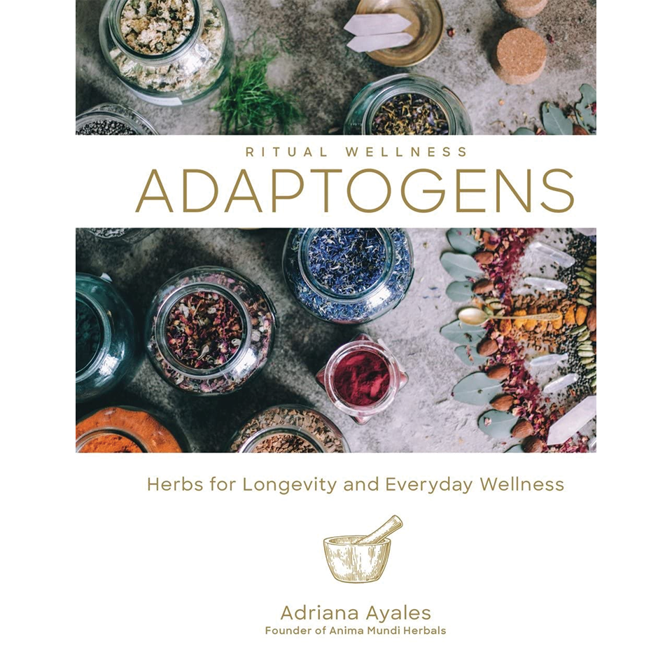 Adaptogens: Herbs for Longevity and Everyday Wellness