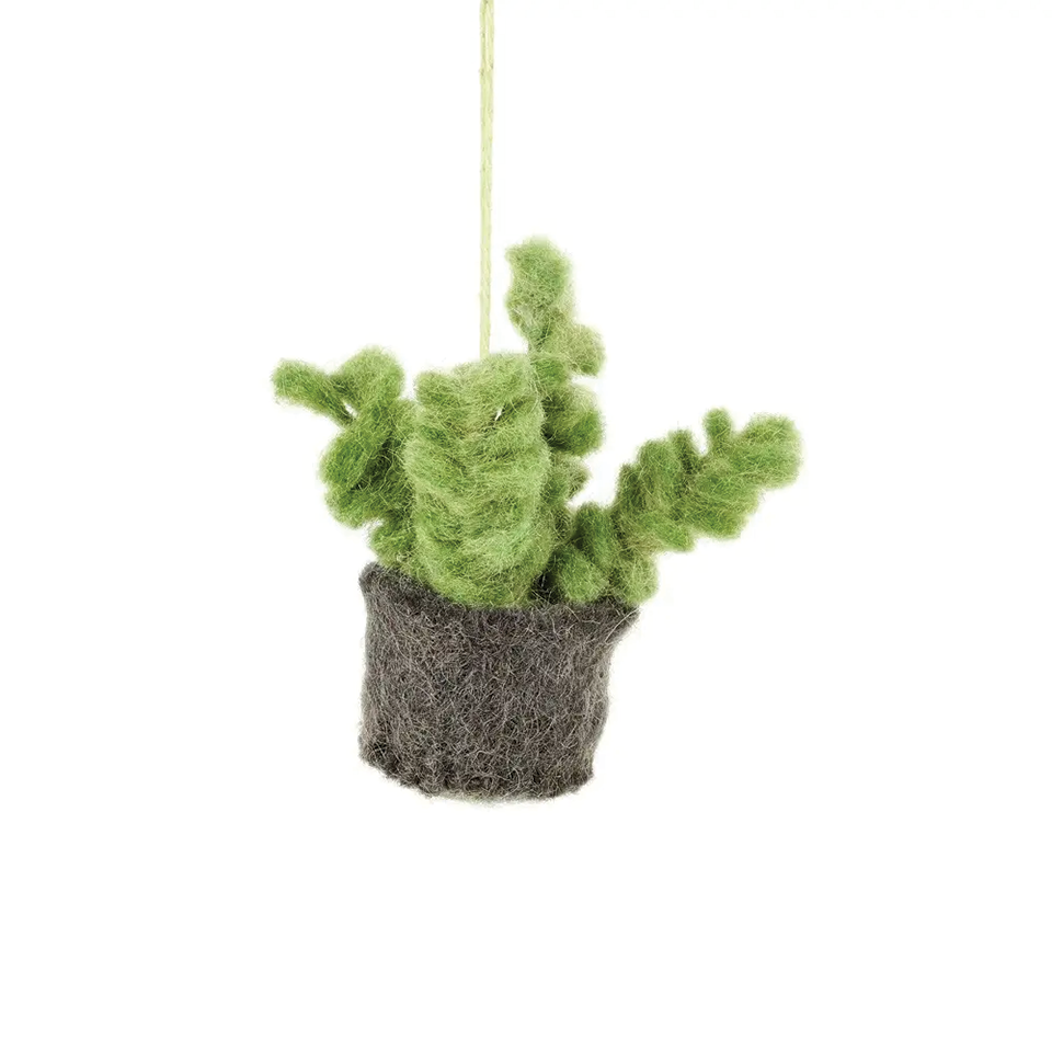 Handmade Felt Miniature Plant -  Bubble Succulent