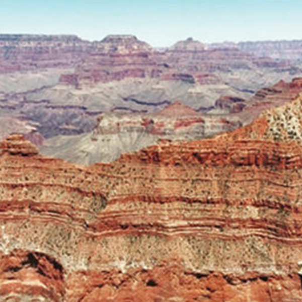 National Park Teas - Grand Canyon